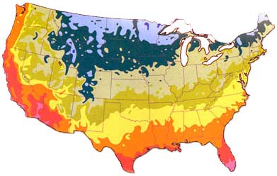 Hardiness Zone Map