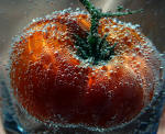 Floating Tomato, Gary Ibsen