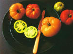 Tomatoes On Plate, Kip Stewart