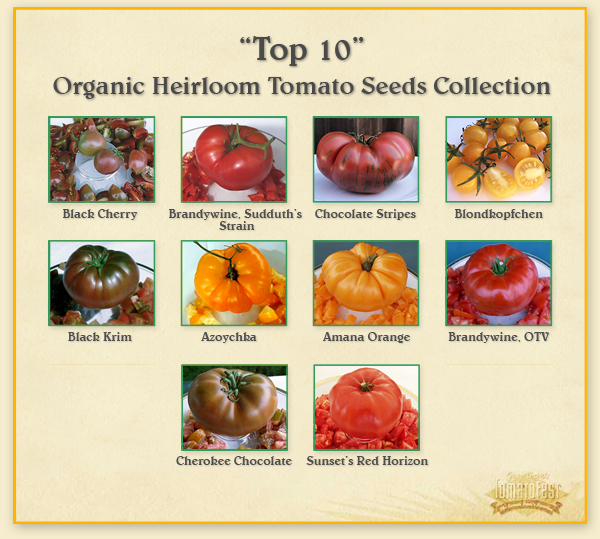 Top 10 Favorite Heirloom Tomatoes for 2015