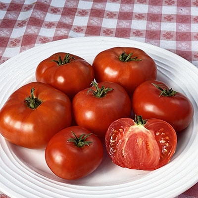 Tomato (Slicer): Flower Top (25 seeds)