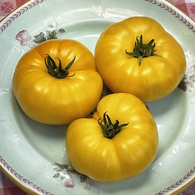 14+ Yellow Tomato Recipe