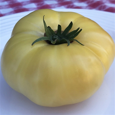 Dwarf Mr. Snow - Organic Tomato Seeds | TomatoFest