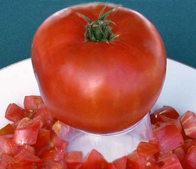 Illini Star - Organic Heirloom Tomato Seeds