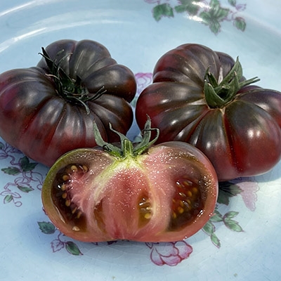 Chef's Choice Purple Hybrid Tomato