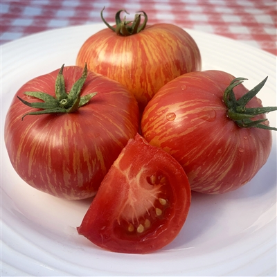 Vintage Wine Heirloom 20 Tomato Seeds Beefsteak Variety Beefsteak Variety  Beautiful Color Sweet Taste OP Non GMO Gold Green & Orange Stripes